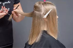 plan de coupe