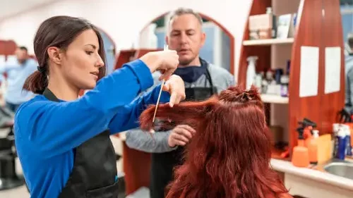 Maîtres d'apprentissage de coiffure