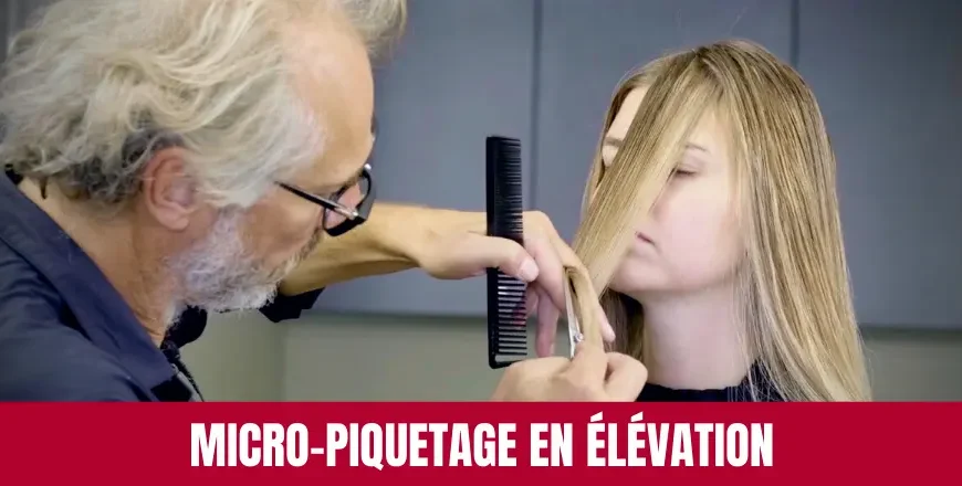 Technique de Micro-Piquetage en Élévation Culture Coiffure