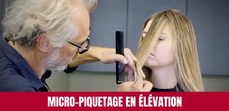 Technique de Micro-Piquetage en Élévation Culture Coiffure