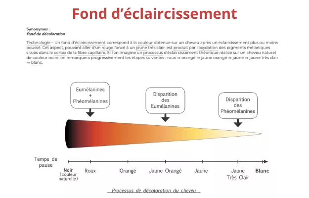 Glossaire de la coiffure